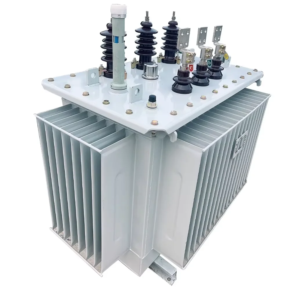3-phase 300-1000 KVA 10000V/11000V Oil-Immersed Transformer IEEE Standard 10KV 480V 50Hz
3-phase 300-1000 KVA 10000V/11000V Oil-Immersed Transformer IEEE Standard 10KV 480V 50Hz