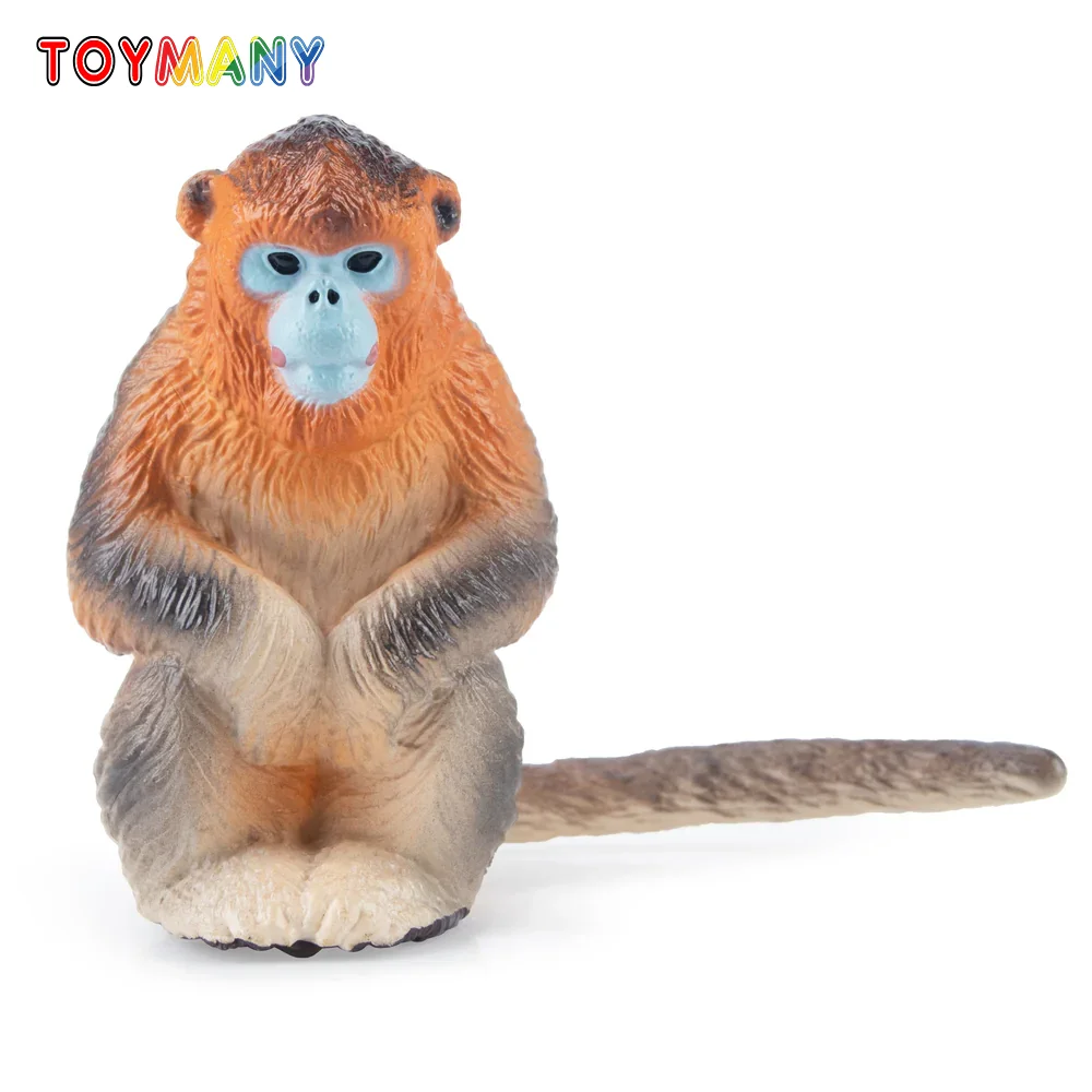 Toymany Simulation Golden Snub-nosed Monkey Primate Animal Model Toy Mini Figures Dolls Action Figurines Toys Children Gift
Toymany Simulation Golden Snub-nosed Monkey Primate Animal Model Toy Mini Figures Dolls Action Figurines Toys Children Gift