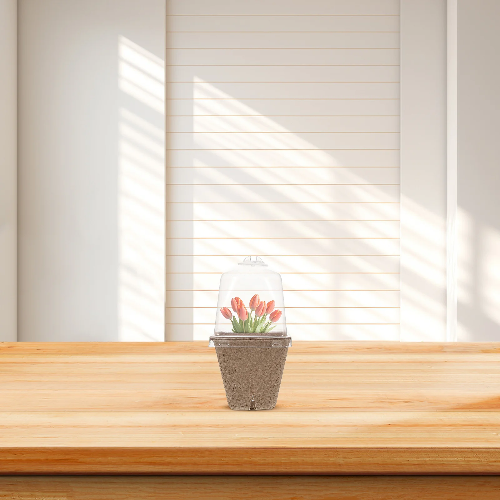 36Pcs Square Nursery Pots Seedling Trays Paper Pulp Material Propagation Dome Planting Pots Gardening Supplies
36Pcs Square Nursery Pots Seedling Trays Paper Pulp Material Propagation Dome Planting Pots Gardening Supplies