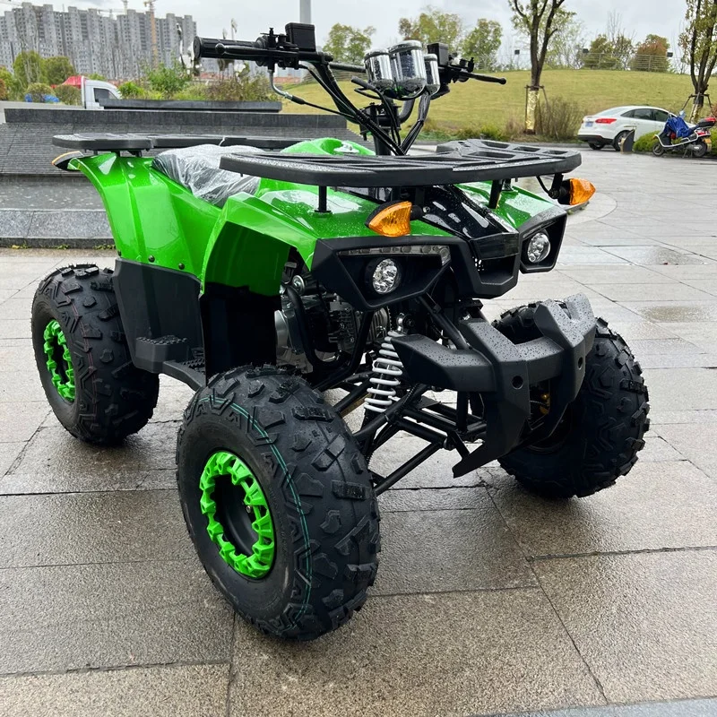 Chain Drive ATV 125cc with CE Certificate Quad ATV
Chain Drive ATV 125cc with CE Certificate Quad ATV