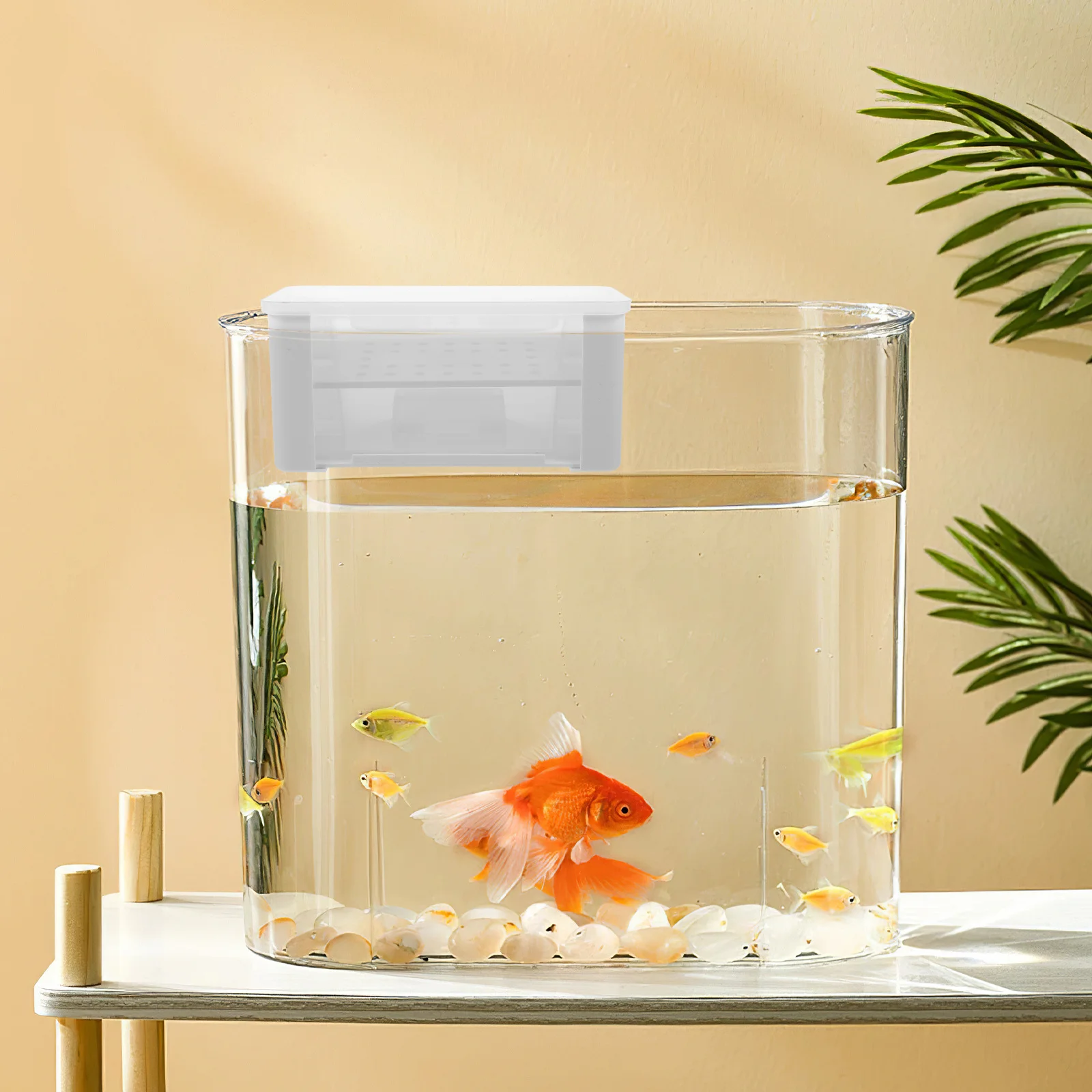 1Pcs Filter Professional Aquarium Filter Multi-Layer Filtration System Turtle Tank Fish Tank Accessories
1Pcs Filter Professional Aquarium Filter Multi-Layer Filtration System Turtle Tank Fish Tank Accessories