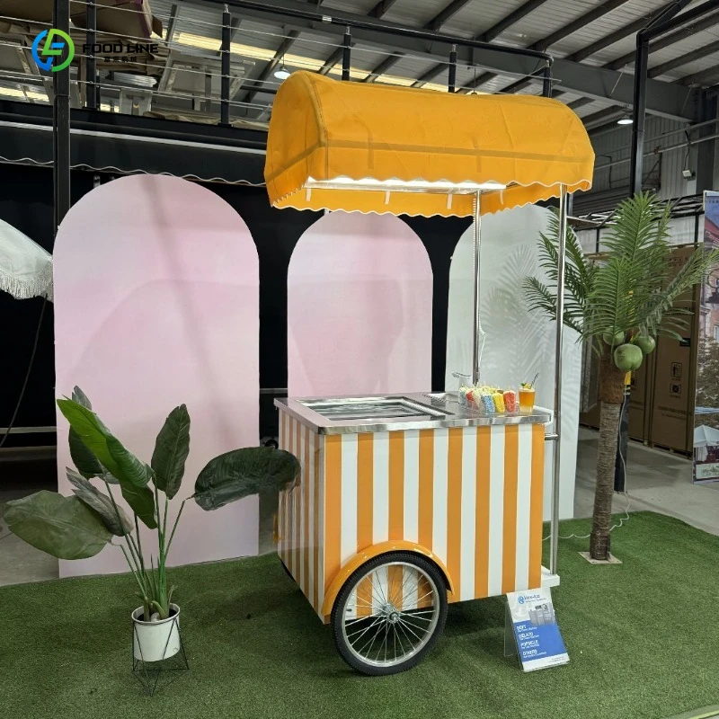 Customized Outdoor Sales Ice Cream Popsicle Display Freezer Stainless Steel Mini Refrigerator With Wheels Hot Sale
Customized Outdoor Sales Ice Cream Popsicle Display Freezer Stainless Steel Mini Refrigerator With Wheels Hot Sale