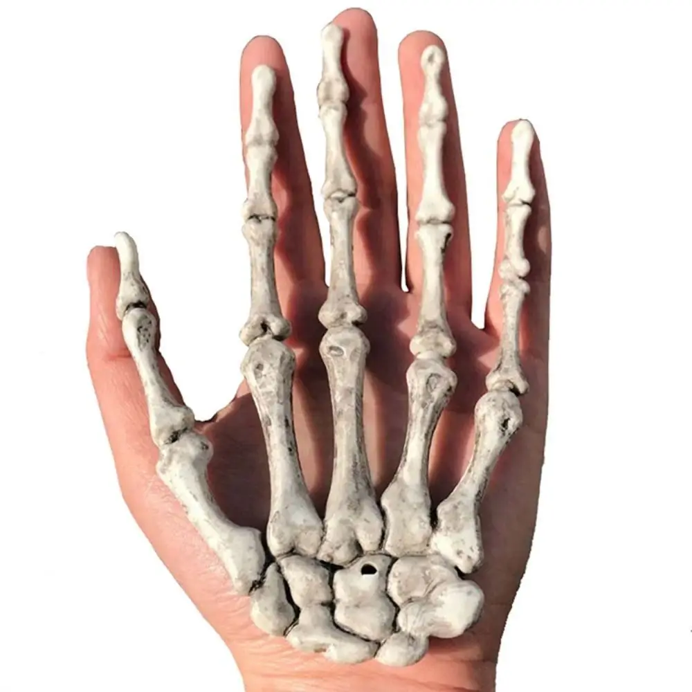Plastic Realistic Skeleton Hand Skeleton Hand Hand Bone Halloween Skeleton Hands Decoration Life Size
Plastic Realistic Skeleton Hand Skeleton Hand Hand Bone Halloween Skeleton Hands Decoration Life Size