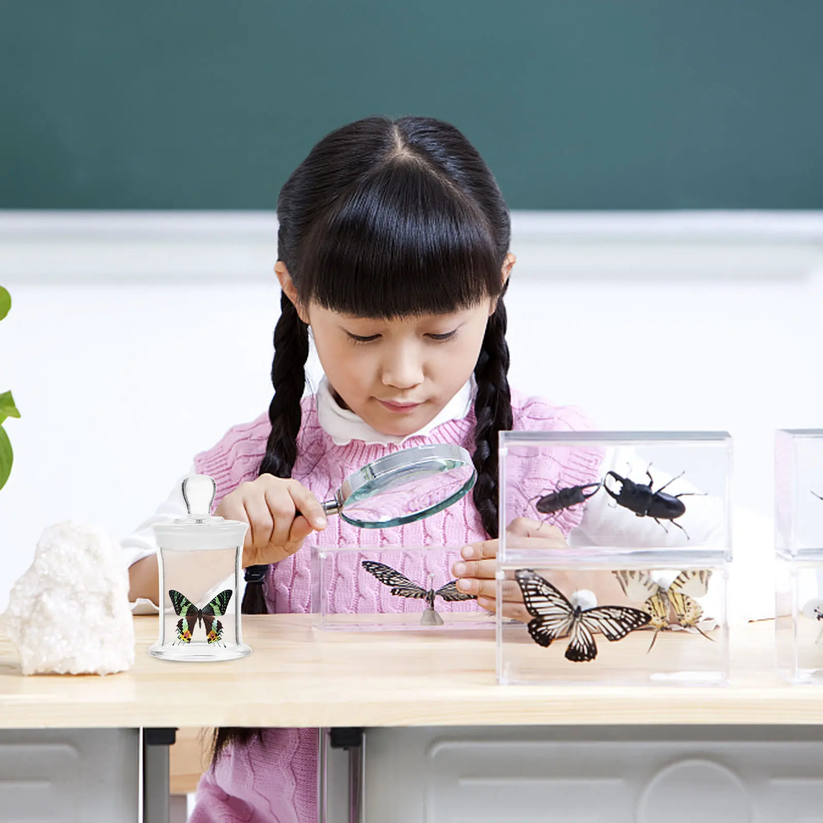 Sample Bottle Clear Glass Stable Base Laboratory Sample Vial Durable Lightweight for Research Science Education
Sample Bottle Clear Glass Stable Base Laboratory Sample Vial Durable Lightweight for Research Science Education