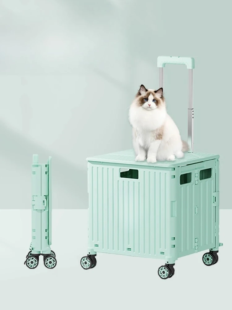 Lightweight and clever foldable pet cat bag trolley dog cat out trolley case small pet shopping cart
Lightweight and clever foldable pet cat bag trolley dog cat out trolley case small pet shopping cart