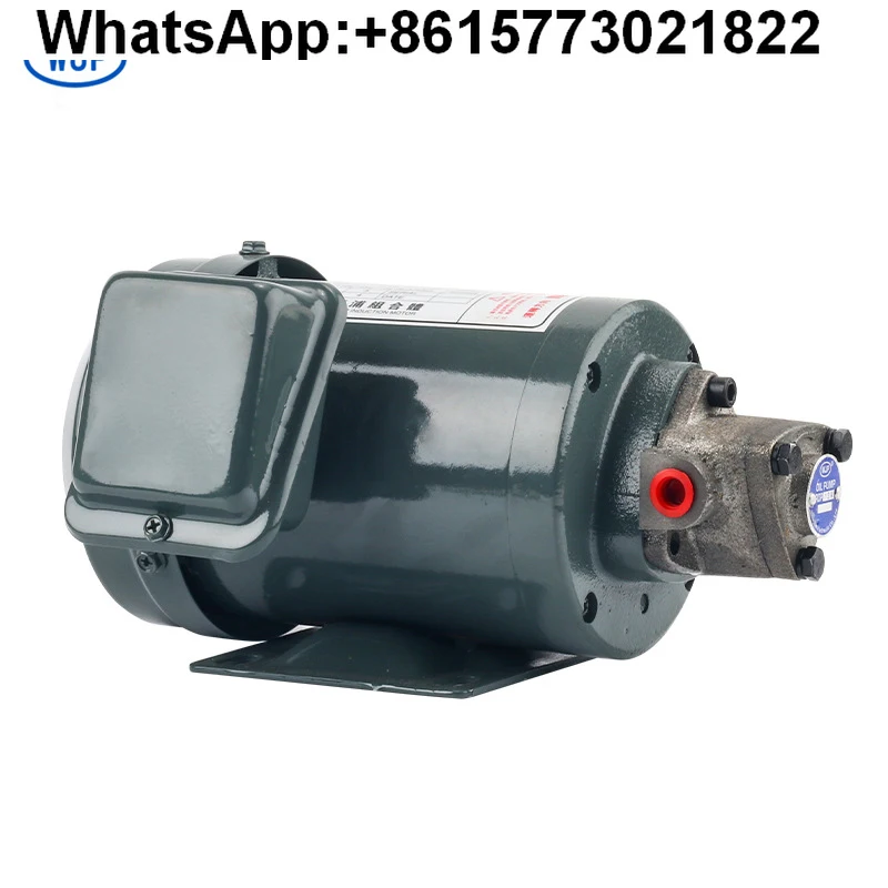 380V200W Gear Pump Motor T ROP1213A Screw Machine Lubrication Pump 220V
380V200W Gear Pump Motor T ROP1213A Screw Machine Lubrication Pump 220V