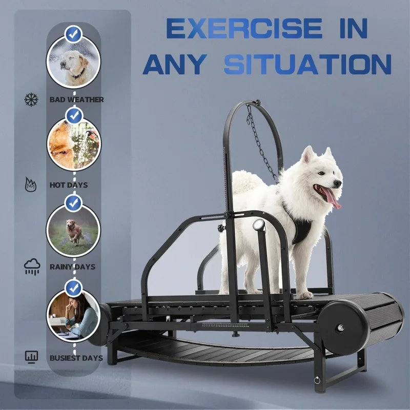 Treadmill for medium and large dogs, height adjustable with pedometer and brake
Treadmill for medium and large dogs, height adjustable with pedometer and brake