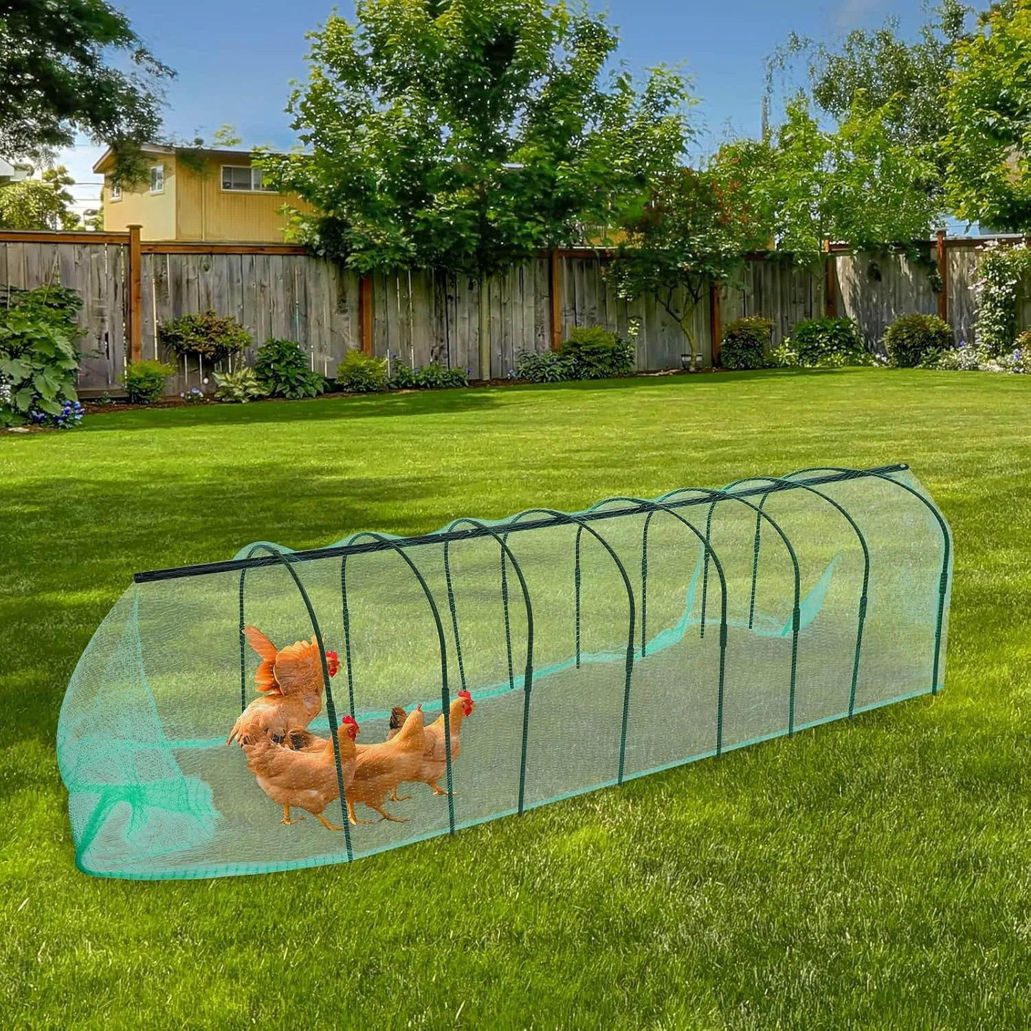 Chicken Tunnel, Farm Poultry Coop Run for Outside Yard 82x78x900cm
Chicken Tunnel, Farm Poultry Coop Run for Outside Yard 82x78x900cm