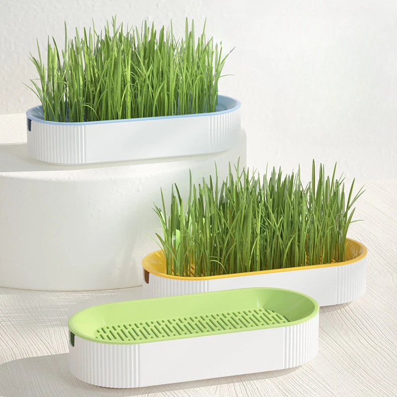 Hydroponic Cat Grass Planter Box Growing Pot Reusable Cat Snack Catnip Planting Container Soil-Free Easy-to-Use Home Supplies
Hydroponic Cat Grass Planter Box Growing Pot Reusable Cat Snack Catnip Planting Container Soil-Free Easy-to-Use Home Supplies