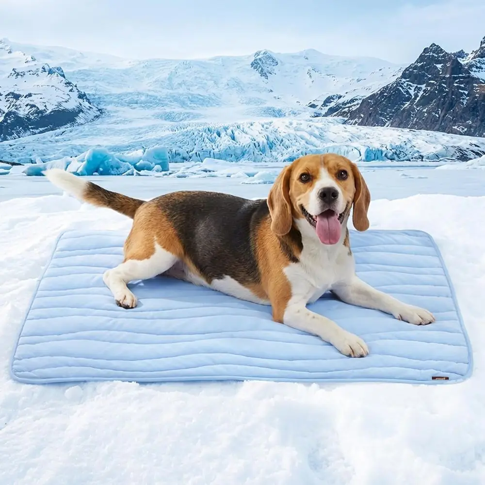 Portable Large Dog Cooling Mat - Breathable, Washable, Non-Slip, Ideal for Outdoor Summer Use, 36x27, Blue
Portable Large Dog Cooling Mat - Breathable, Washable, Non-Slip, Ideal for Outdoor Summer Use, 36x27, Blue