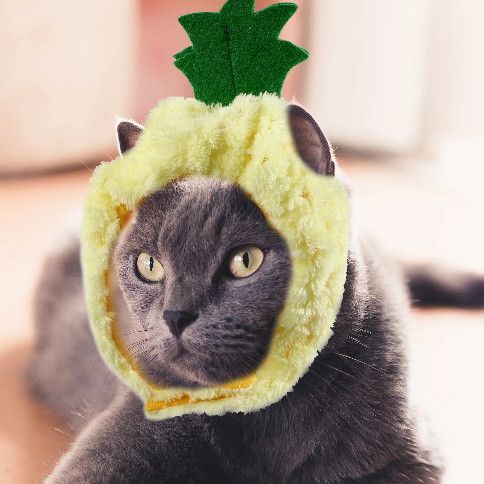 4 Pcs Pet Hood Sweet Fashionable Dog Cat Cosplay Hat Comfortable Bright Colors Lovely Stylish Pet Costume Fruit Decorative
4 Pcs Pet Hood Sweet Fashionable Dog Cat Cosplay Hat Comfortable Bright Colors Lovely Stylish Pet Costume Fruit Decorative