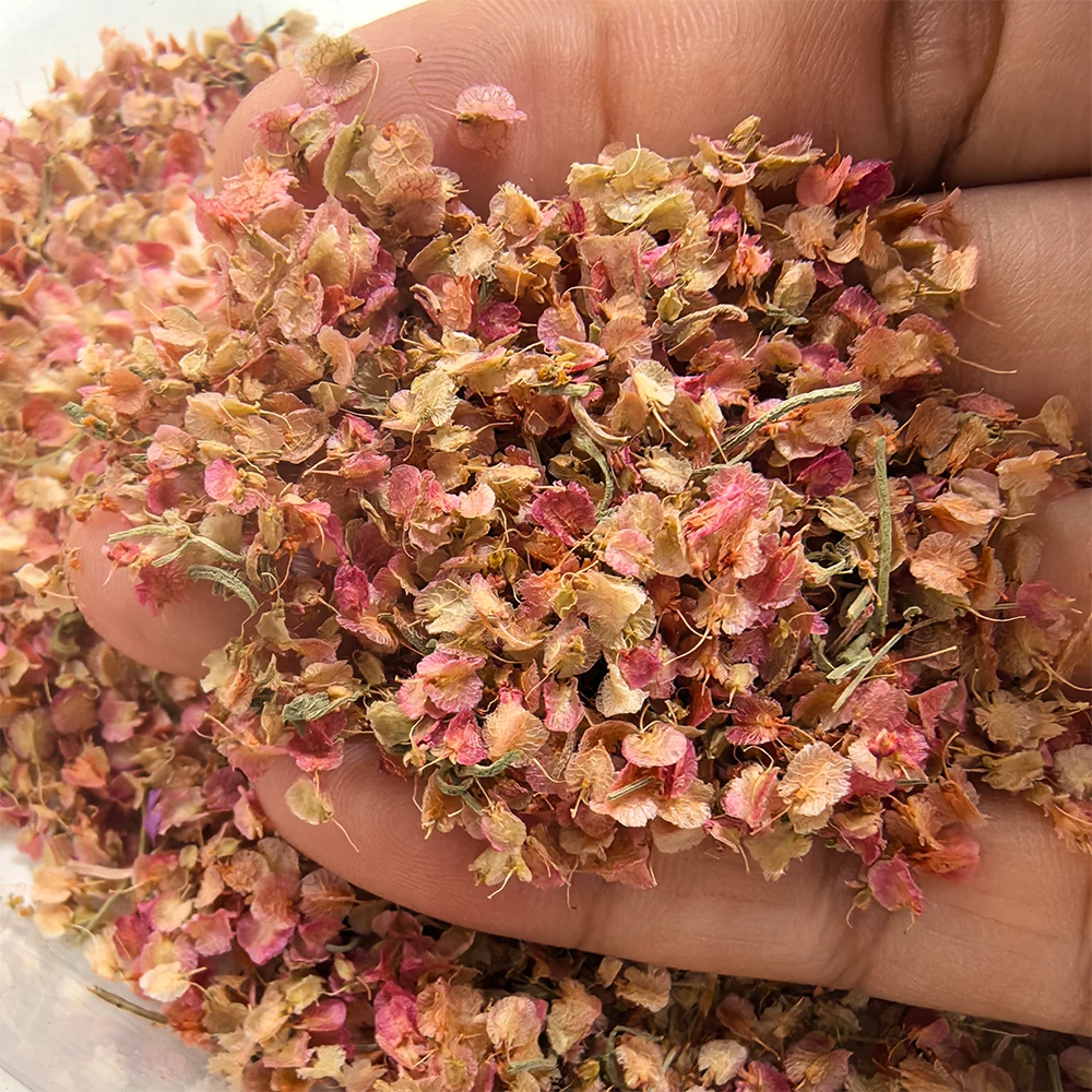DIY Miniature Pink Leaves Micro Landscape Leaf Model Making Artificial Romantic Tree Scene Fairy Garden Grass Tutfs Material 1PC
DIY Miniature Pink Leaves Micro Landscape Leaf Model Making Artificial Romantic Tree Scene Fairy Garden Grass Tutfs Material 1PC