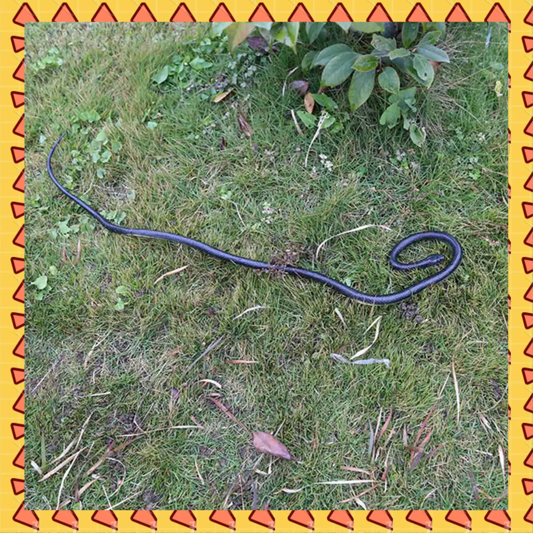 A008 2 шт 1. Реалистичные резиновые поддельные змеи, реквизит для сафари, шутка на Хэллоуин, подарок
A008 2 шт 1. Реалистичные резиновые поддельные змеи, реквизит для сафари, шутка на Хэллоуин, подарок