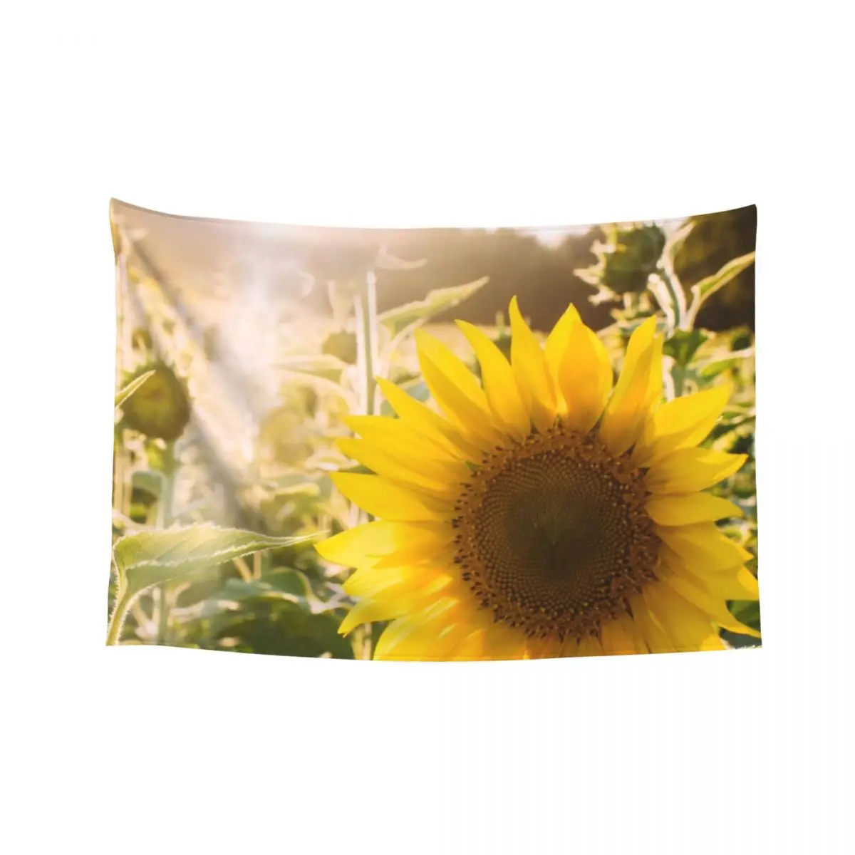 Sunflower yellow with landscape filter flowers are happiness motivational quote Tapestry Funny Tapestry
Sunflower yellow with landscape filter flowers are happiness motivational quote Tapestry Funny Tapestry