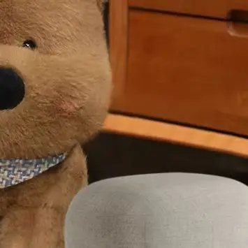 35/45CM cute West Highland puppy plush toy bib dog doll
35/45CM cute West Highland puppy plush toy bib dog doll