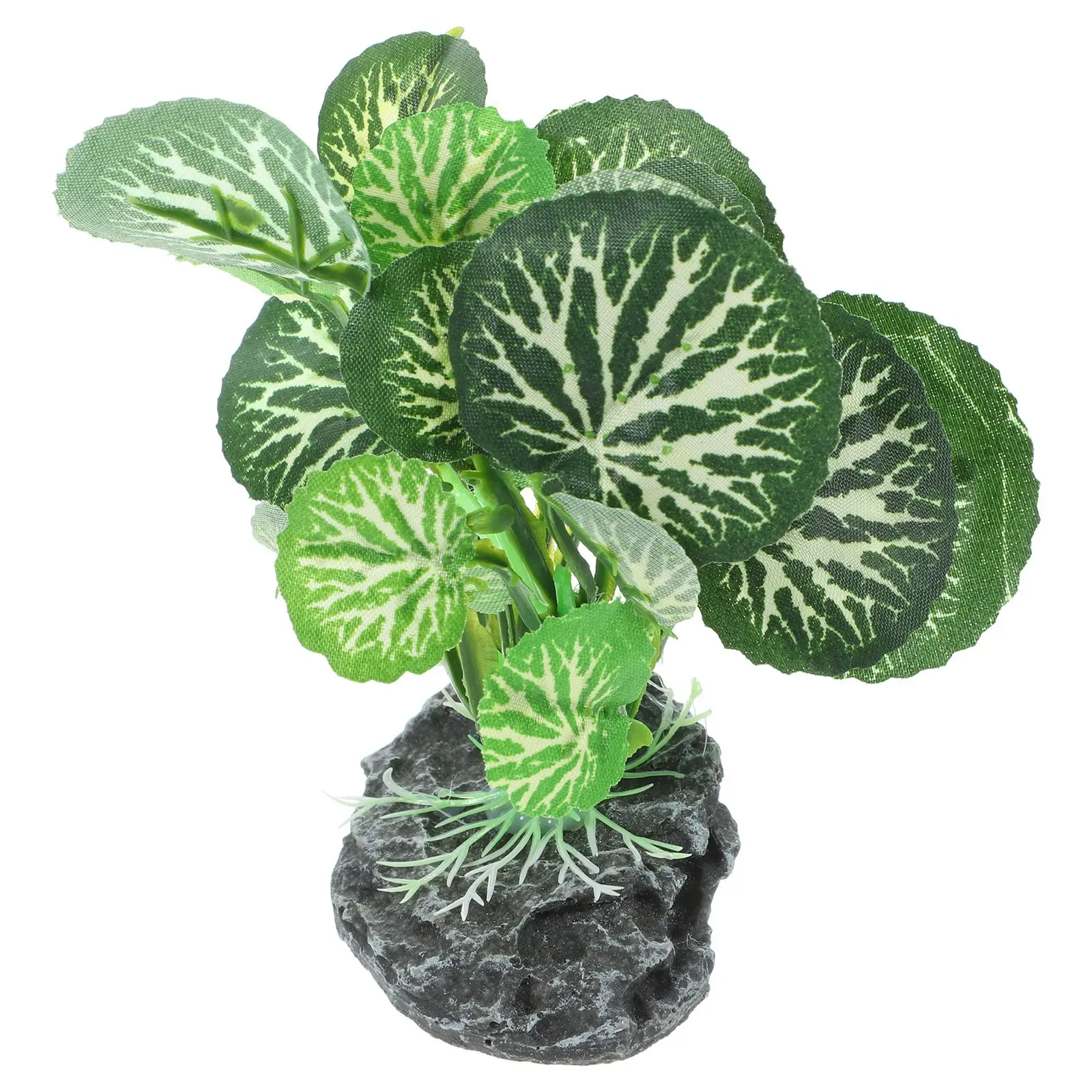 1Pcs Artificial Plant for Fish Tank Aquarium Plants Fake Plastic Fish Tank Supplies Aquatic Supplies Accessories Pet
1Pcs Artificial Plant for Fish Tank Aquarium Plants Fake Plastic Fish Tank Supplies Aquatic Supplies Accessories Pet