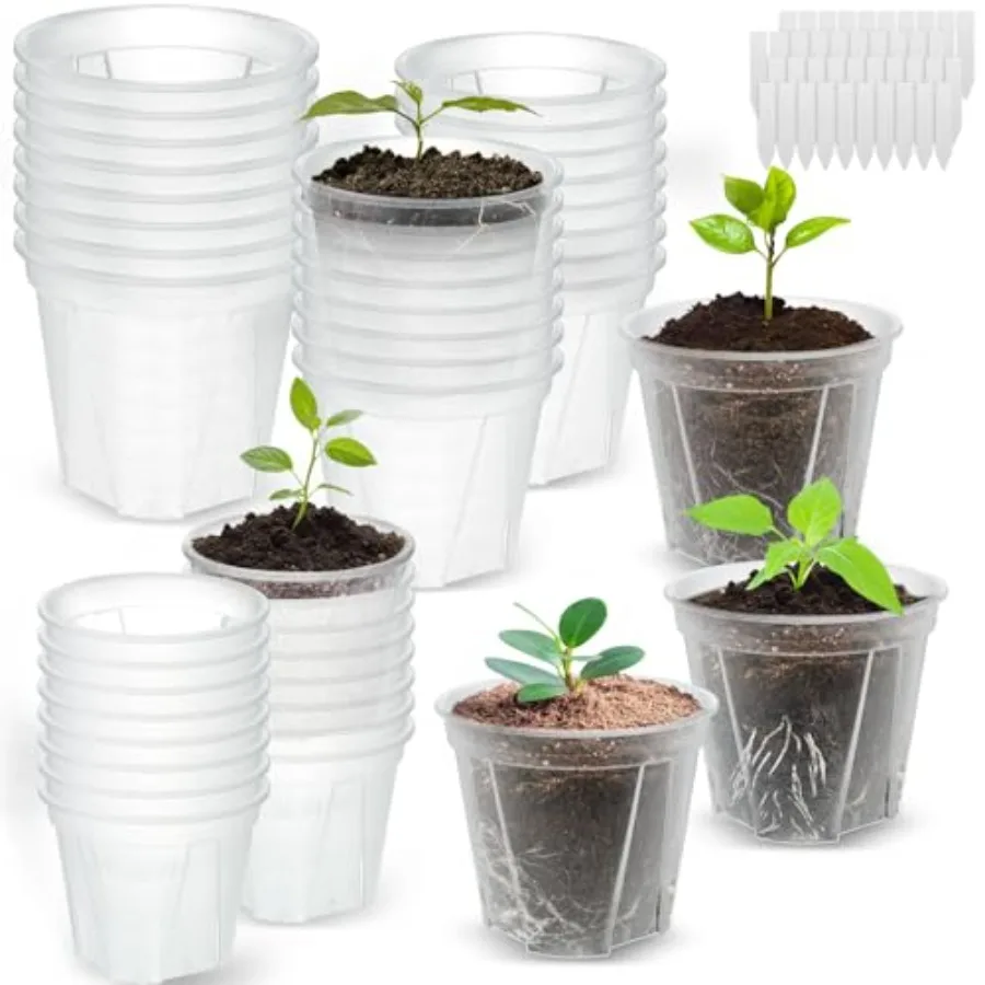 Clear Nursery Pots with Drainage, Pack Transparent Plastic Orchid Planters, 3 Sizes Plant Pots 6/5/4 Inch with Plant Labels for
Clear Nursery Pots with Drainage, Pack Transparent Plastic Orchid Planters, 3 Sizes Plant Pots 6/5/4 Inch with Plant Labels for