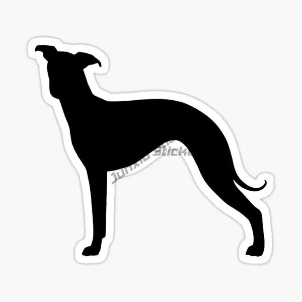 Spanish Lion Dog Greyhound Car Stickers Car Accessories Decor Decals
Spanish Lion Dog Greyhound Car Stickers Car Accessories Decor Decals