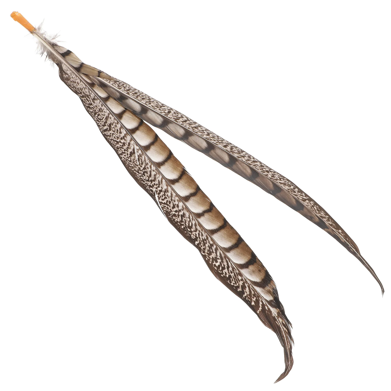 2pcs Monkey King Performance Plumes For Wukong Party Decorations Stage Props Play Props Acting Accessories Festival Performance
2pcs Monkey King Performance Plumes For Wukong Party Decorations Stage Props Play Props Acting Accessories Festival Performance