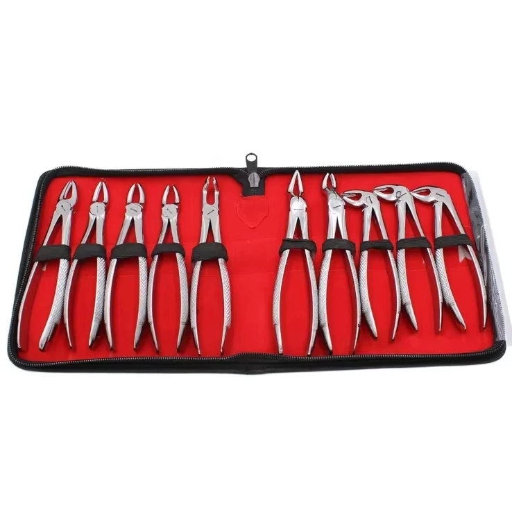 Professional Stainless Steel Adult Lab Forceps 10pcs Extractings Forceps Set Toeths Extractings Pliers
Professional Stainless Steel Adult Lab Forceps 10pcs Extractings Forceps Set Toeths Extractings Pliers