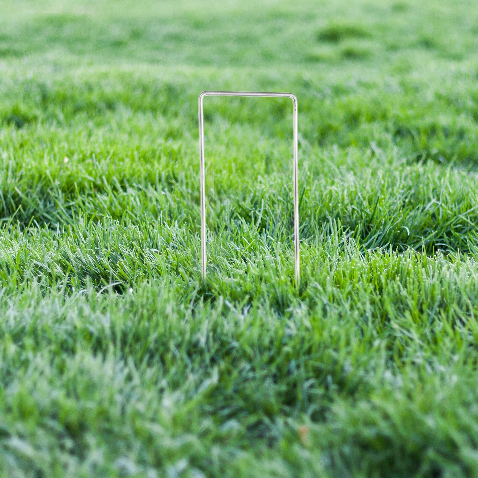 50pcs Stakes U-shaped Nails Metal Ground Pegs Ground Pegs Heavy Duty Landscaping Artificial Grass Fixing Outdoor
50pcs Stakes U-shaped Nails Metal Ground Pegs Ground Pegs Heavy Duty Landscaping Artificial Grass Fixing Outdoor