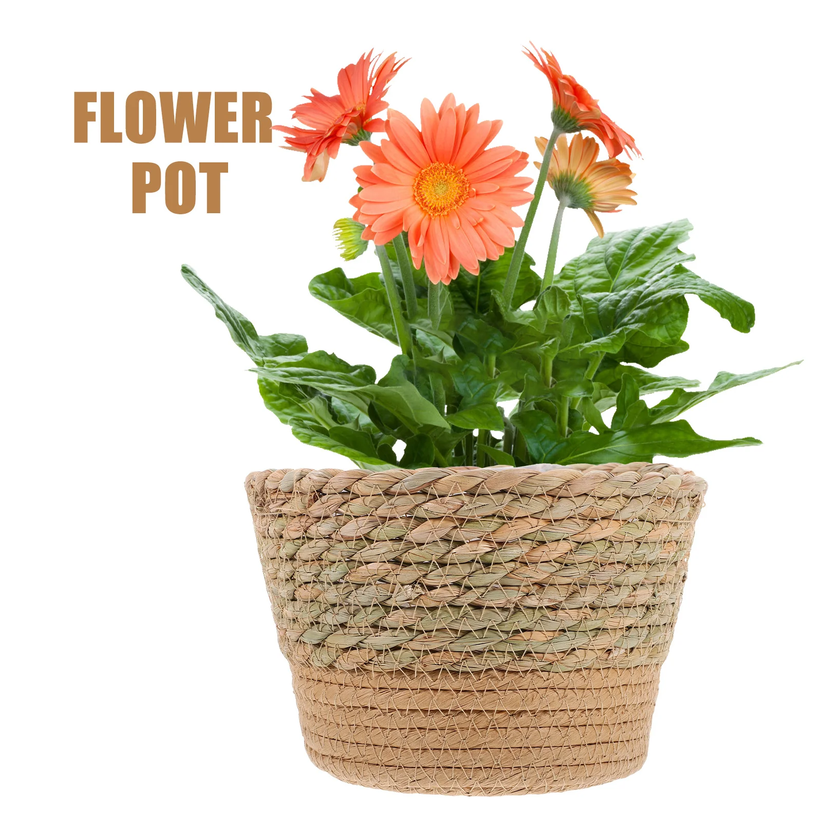 1pc Straw Woven Flower Large Handmade Planter Basket For Indoor Plants Decorative Flower Arrangement Supply Rustic Woven
1pc Straw Woven Flower Large Handmade Planter Basket For Indoor Plants Decorative Flower Arrangement Supply Rustic Woven