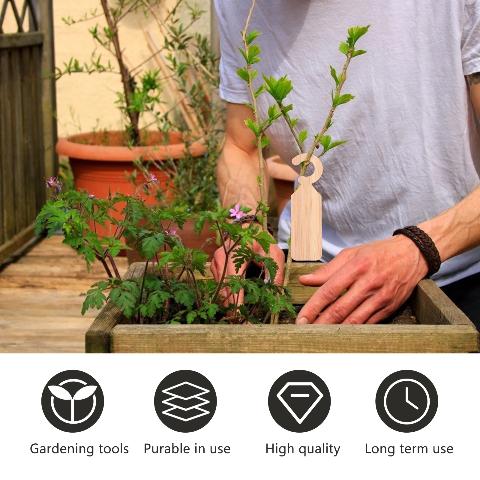 20pcs Bamboo Plant Tags High Quality Reusable Handwritten DIY Gardening Labels Simple Appearance Creative Stylish Easy Save
20pcs Bamboo Plant Tags High Quality Reusable Handwritten DIY Gardening Labels Simple Appearance Creative Stylish Easy Save