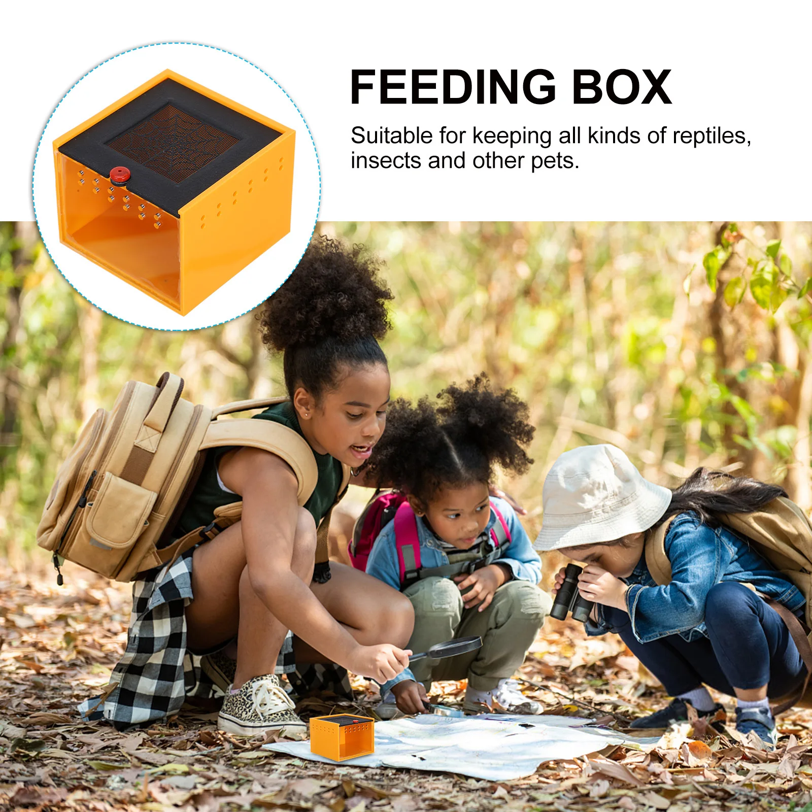 Clear Acrylic Spider Enclosure Box Small Reptile Habitat Terrarium For Jumping Spider Breeding Snail Display Case
Clear Acrylic Spider Enclosure Box Small Reptile Habitat Terrarium For Jumping Spider Breeding Snail Display Case