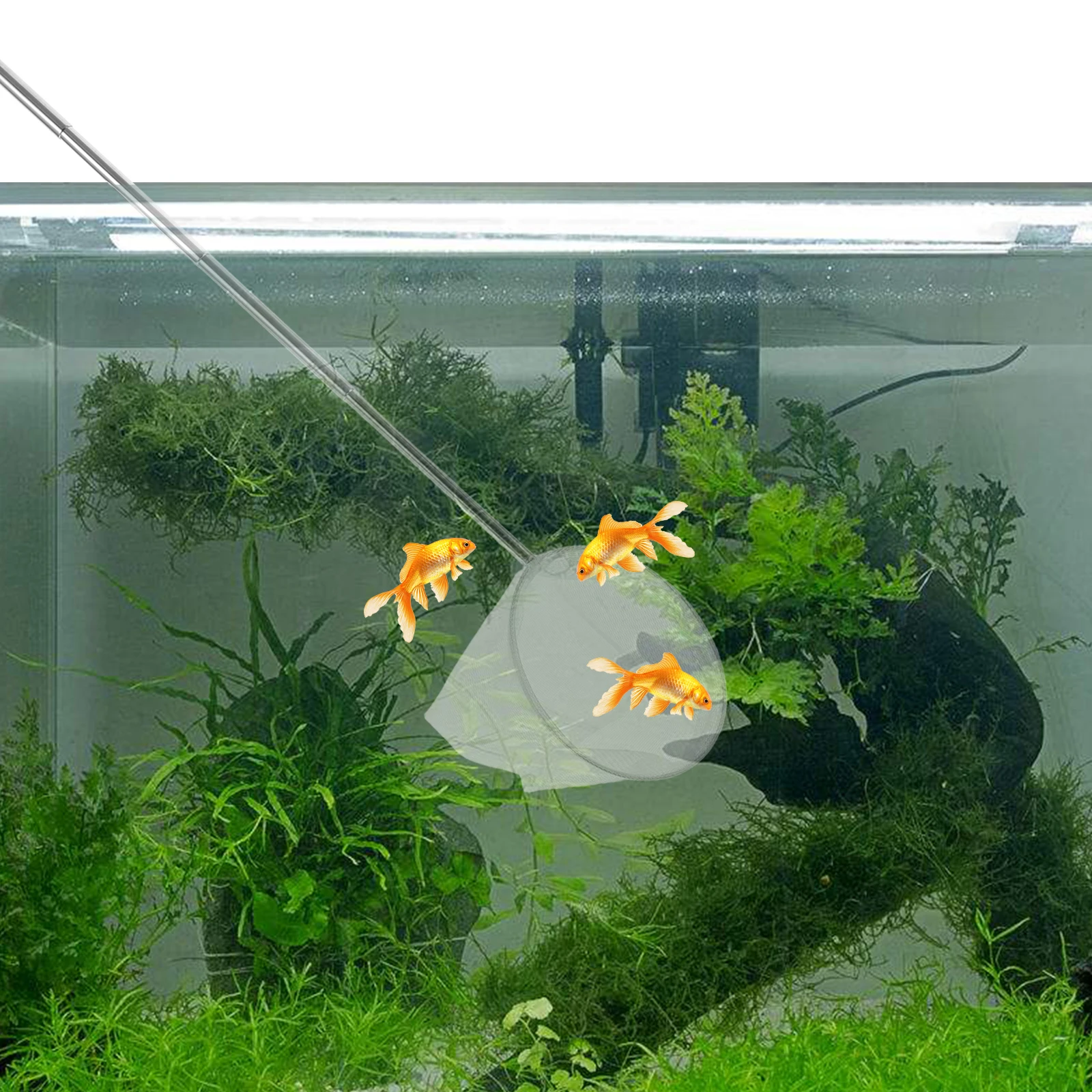Fish Tank Net Fine Mesh Long Handle Shrimp Catching Small Skimmer Aquarium Net 3D Stainless Telescopic Practical
Fish Tank Net Fine Mesh Long Handle Shrimp Catching Small Skimmer Aquarium Net 3D Stainless Telescopic Practical