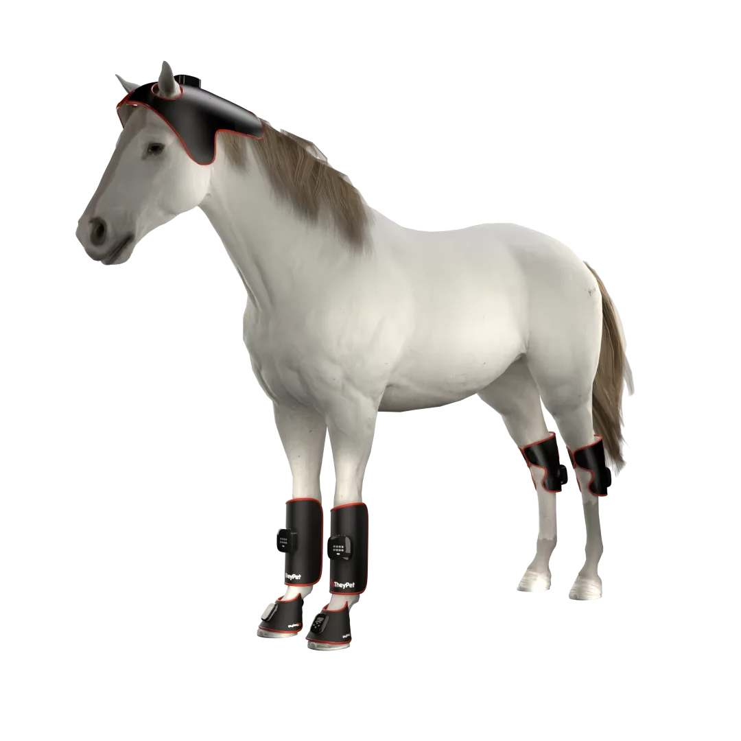 Premium Waterproof Horse Therapy Pad With Rechargeable Lithium Battery Controller Red Light Therapy Wrap Horse Use
Premium Waterproof Horse Therapy Pad With Rechargeable Lithium Battery Controller Red Light Therapy Wrap Horse Use