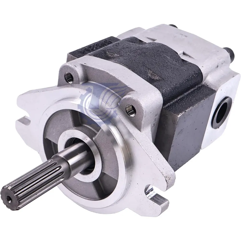 Guangzhou Factory Forklift Hydraulic Pump SGP2B50L136
Guangzhou Factory Forklift Hydraulic Pump SGP2B50L136