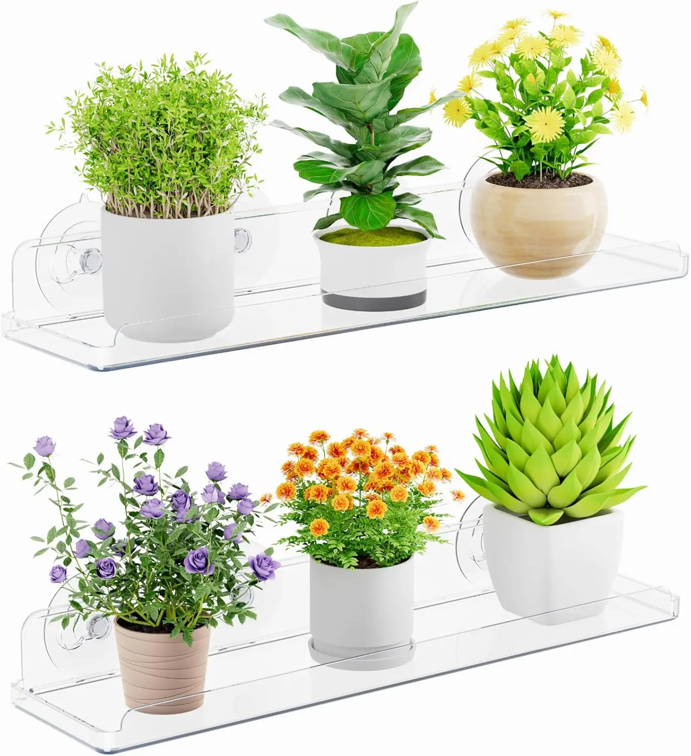 Acrylic Suction Cup Shelves 14.6' x 3.6', 2-Pack for Windowsill Plants, Succulents, Herbs, Seed Starters
Acrylic Suction Cup Shelves 14.6' x 3.6', 2-Pack for Windowsill Plants, Succulents, Herbs, Seed Starters