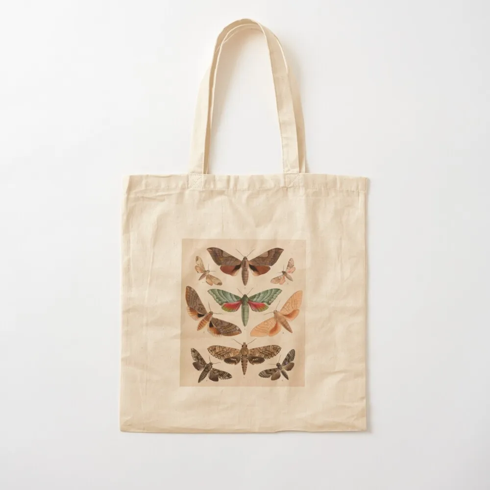 Naturalist Moths Tote Bag Shopping bags university shopper bag large size bags Canvas Tote Bag 
Naturalist Moths Tote Bag Shopping bags university shopper bag large size bags Canvas Tote Bag
