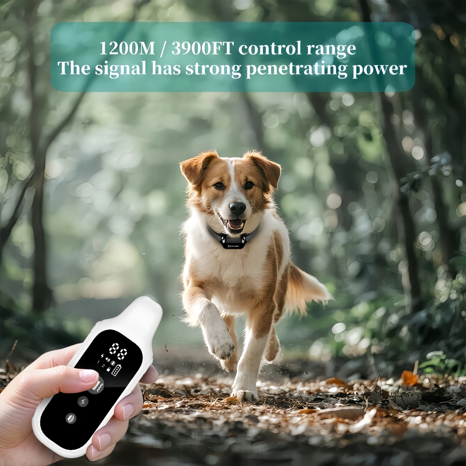 800m Digital Dog Training Collar Waterproof Rechargeable Remote Control Pet with LCD Display for All Size Shock Vibration Sound
800m Digital Dog Training Collar Waterproof Rechargeable Remote Control Pet with LCD Display for All Size Shock Vibration Sound