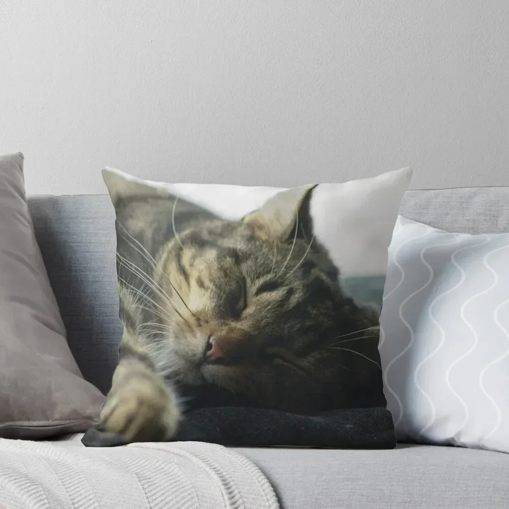 Sleeping Elsa Tabby Cat Throw Pillow Christmas Pillow pillow cover luxury Covers Decorative
Sleeping Elsa Tabby Cat Throw Pillow Christmas Pillow pillow cover luxury Covers Decorative