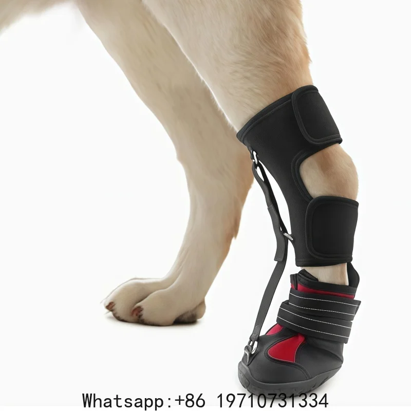 Anti Slip Dog Shoes Breathable Durable Pet Boots For Small Medium Large Paw Protectors For Indoor Outdoor Walking Running
Anti Slip Dog Shoes Breathable Durable Pet Boots For Small Medium Large Paw Protectors For Indoor Outdoor Walking Running