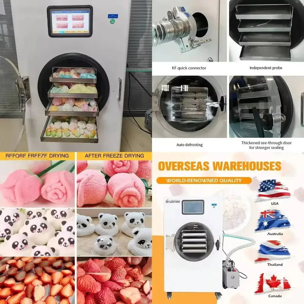 2026 Hot Sale High-quality Food Drying Dryer Machine Household Oil-free Vacuum Pump Household Dryer
2026 Hot Sale High-quality Food Drying Dryer Machine Household Oil-free Vacuum Pump Household Dryer