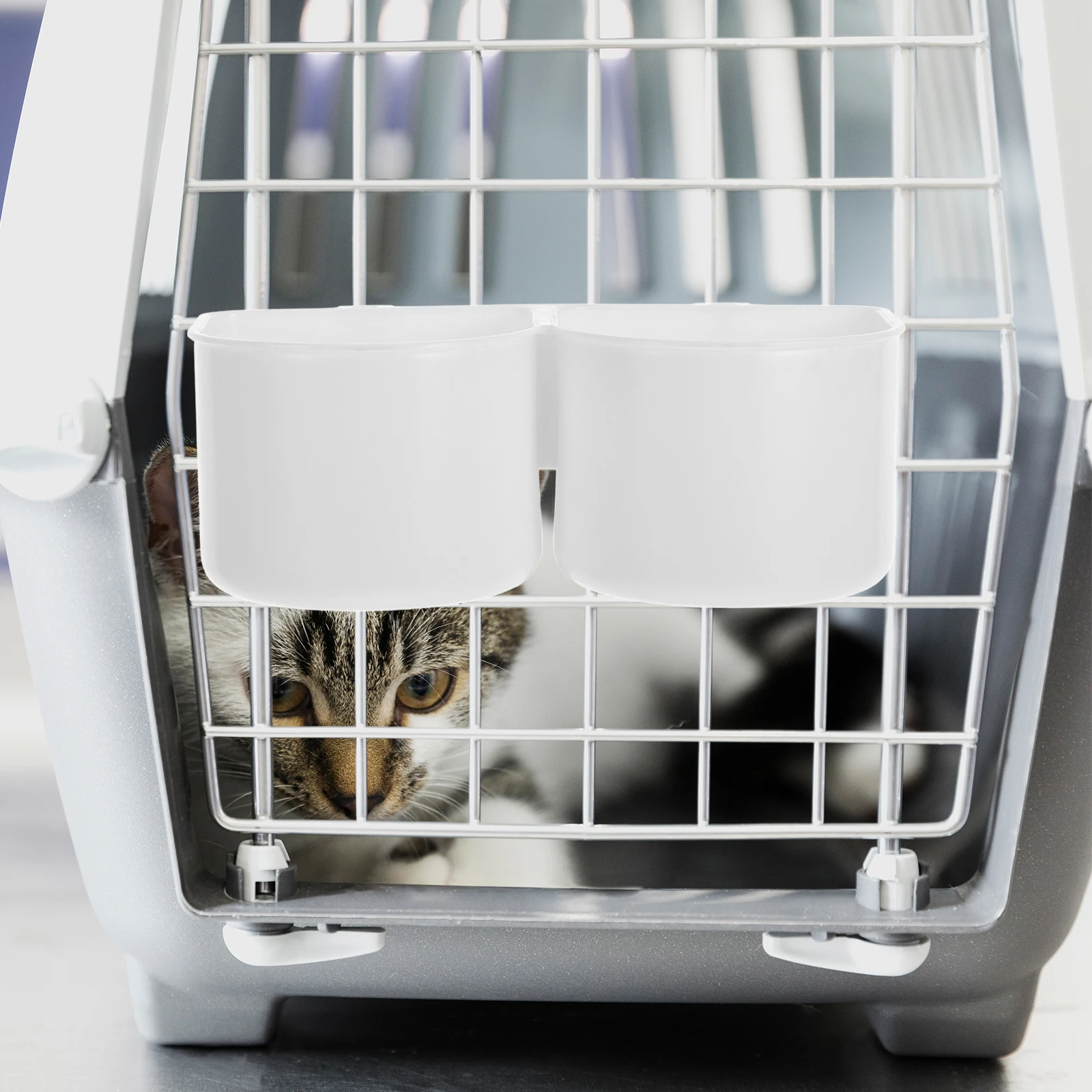 Pet Cage Crate Food Bird Dishes Bottle Abs Replacement Adjustable Height Multifunctional Durable Material Suitable Small Pets
Pet Cage Crate Food Bird Dishes Bottle Abs Replacement Adjustable Height Multifunctional Durable Material Suitable Small Pets