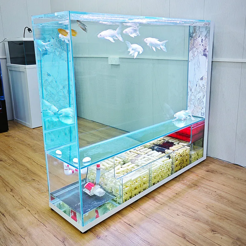 Living room 2025 new ultra-white glass integrated stretch bar creative bottom filter ecological fish tank
Living room 2025 new ultra-white glass integrated stretch bar creative bottom filter ecological fish tank