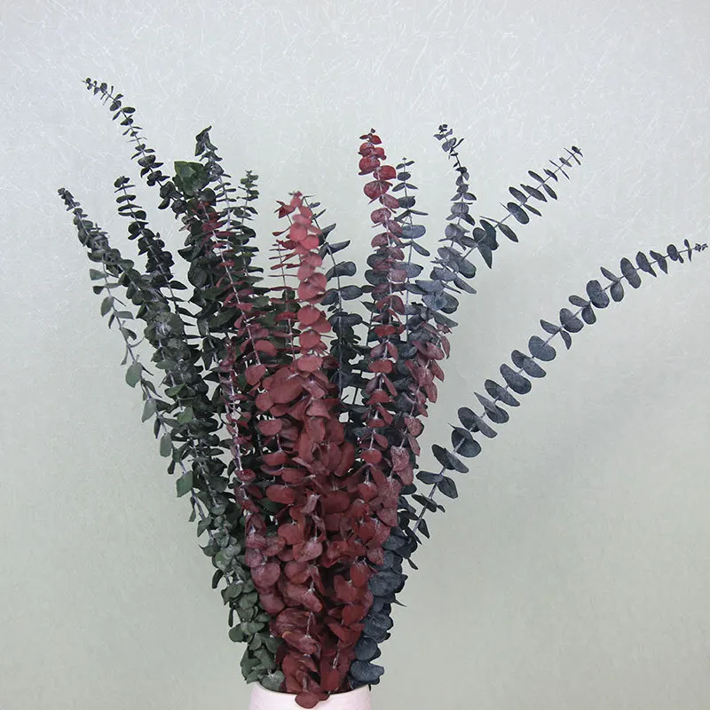 Eucalyptus Green, Red, Dark Blue Dried Flowers Round Leaves About 35cm Long Rustic Bedroom Decorations 10pcs/Lot Bouquet Bouquet
Eucalyptus Green, Red, Dark Blue Dried Flowers Round Leaves About 35cm Long Rustic Bedroom Decorations 10pcs/Lot Bouquet Bouquet