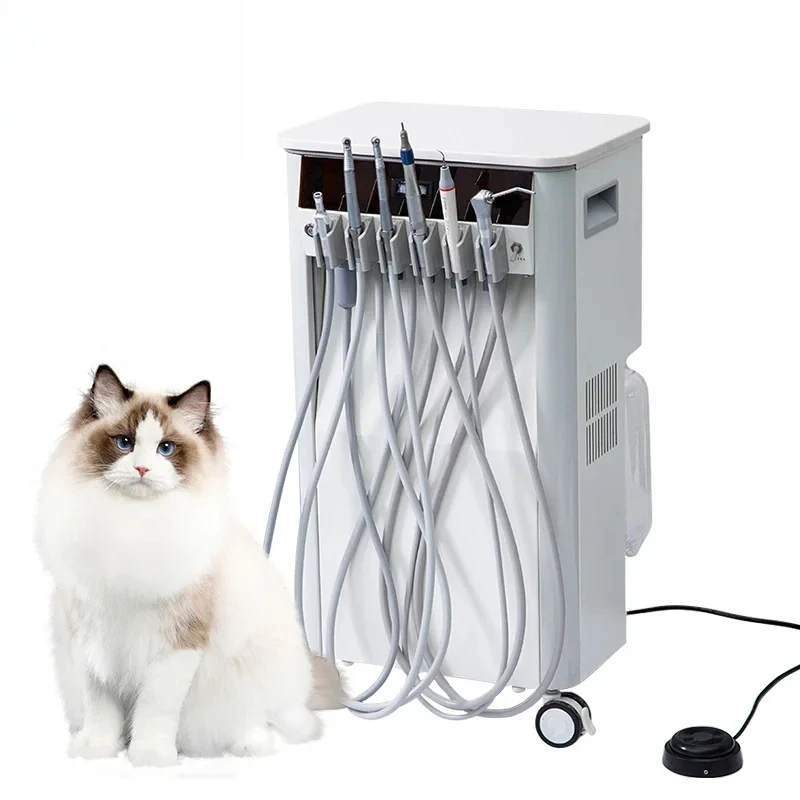 Esco Vet Use Мини-чемодан, одобренный CE, набор всасывающих устройств, портативный воздушный компрессор, встроенный мобильный демотальный блок 
Esco Vet Use Мини-чемодан, одобренный CE, набор всасывающих устройств, портативный воздушный компрессор, встроенный мобильный демотальный блок