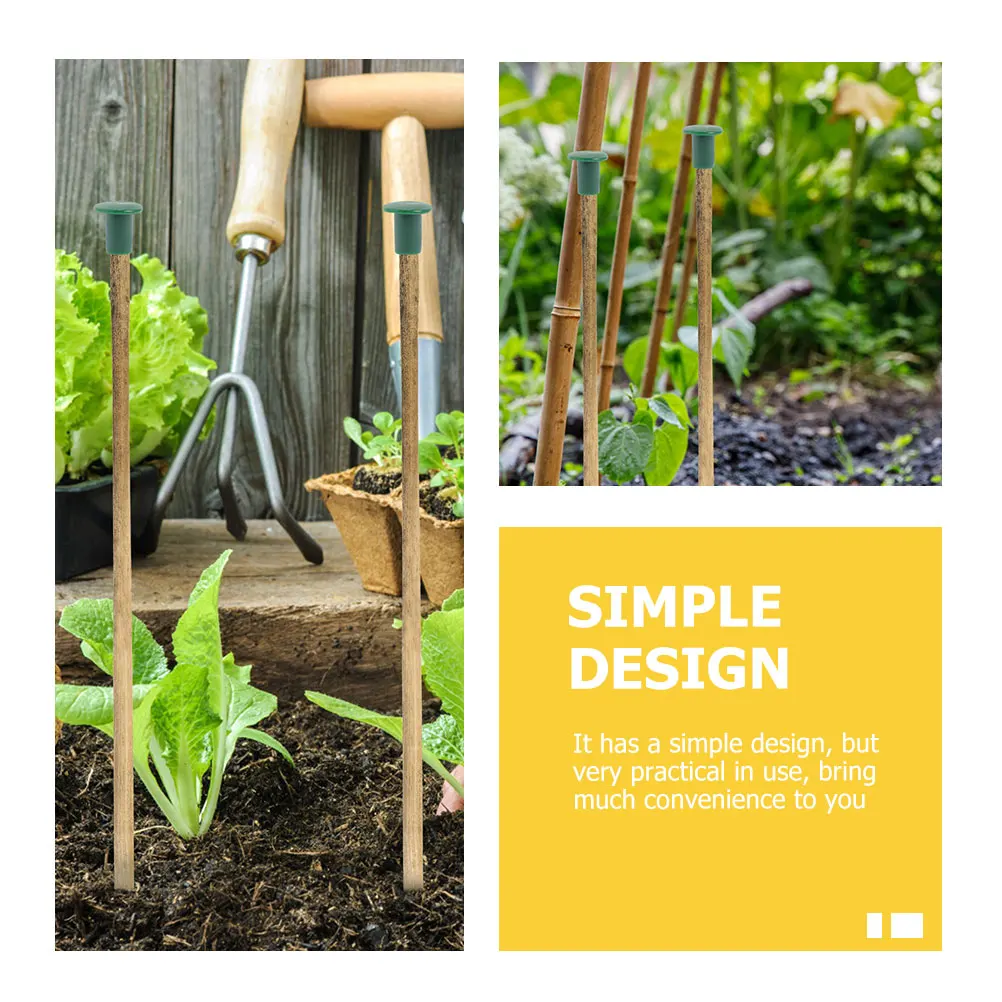 48pcs Plant Support Stick Cane Cover Protective Caps Garden Bamboo Pole Safety Topper Outdoor Gardening Supplies
48pcs Plant Support Stick Cane Cover Protective Caps Garden Bamboo Pole Safety Topper Outdoor Gardening Supplies