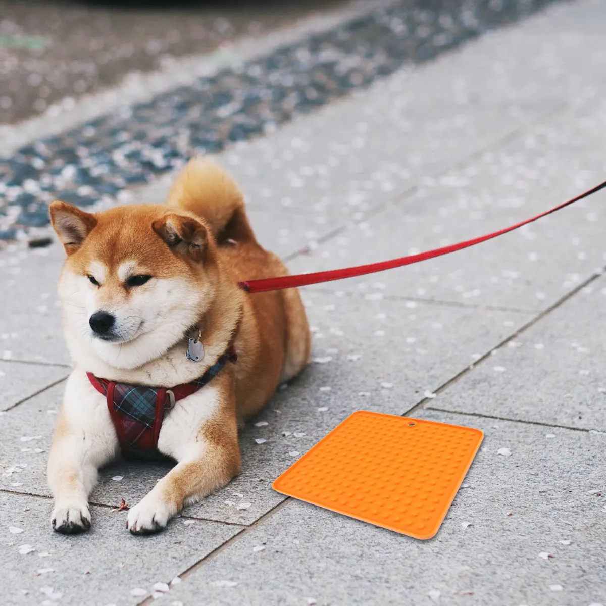 Feeding Licking Pad Food Pet Mat Waterproof Puppy Feeder Cushion Dog Multifunction
Feeding Licking Pad Food Pet Mat Waterproof Puppy Feeder Cushion Dog Multifunction