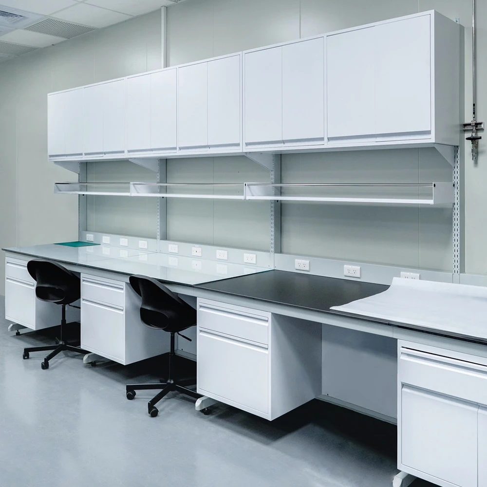 Подвесной шкаф Экспериментальная скамейка для лабораторного использования Стальная металлическая скамейка с фенольной смолой для лабораторной мебели
Подвесной шкаф Экспериментальная скамейка для лабораторного использования Стальная металлическая скамейка с фенольной смолой для лабораторной мебели