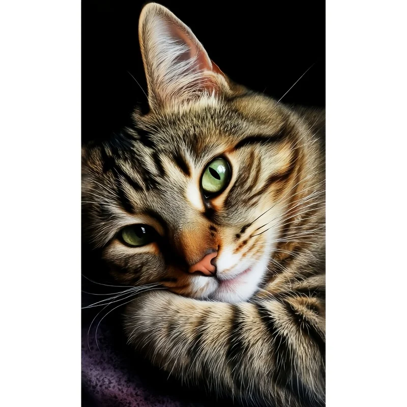 5D DIY Diamond Painting | Natural Art Handmade Decorative Painting, The Healing Gaze of a Green-Eyed Tabby Cat
5D DIY Diamond Painting | Natural Art Handmade Decorative Painting, The Healing Gaze of a Green-Eyed Tabby Cat