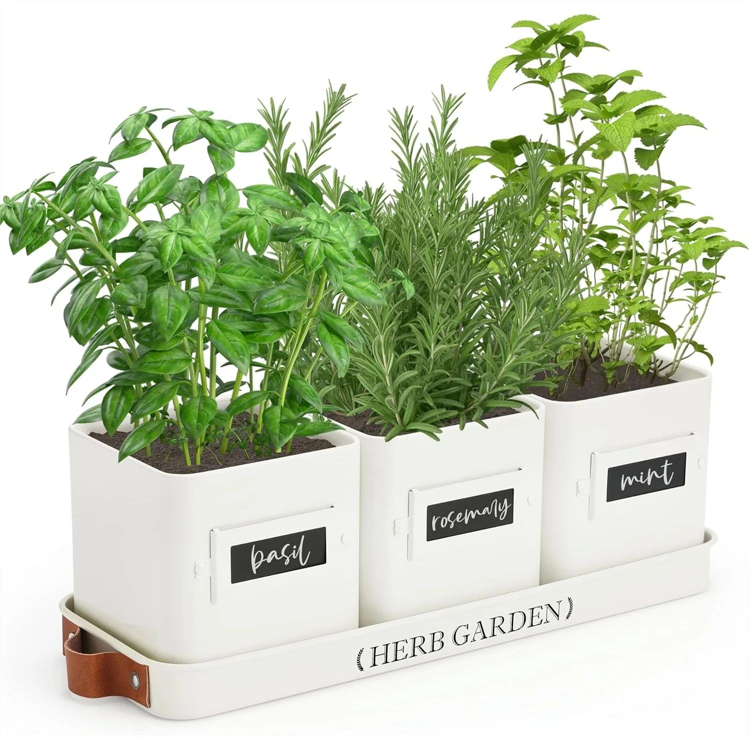 Indoor Herb Garden Planter Set with Tray, 3-Pack Farmhouse Pots for Windowsill, Metal White
Indoor Herb Garden Planter Set with Tray, 3-Pack Farmhouse Pots for Windowsill, Metal White