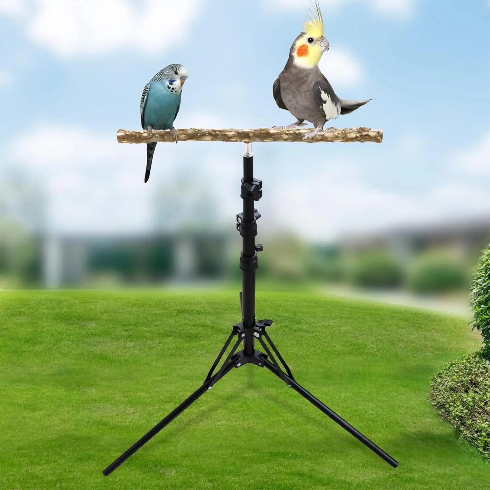 Adjustable Bird Perch Stand Height-adjustable parrot training perch Foldable Parrot Bird Training Perch Pet Bird Perches station
Adjustable Bird Perch Stand Height-adjustable parrot training perch Foldable Parrot Bird Training Perch Pet Bird Perches station