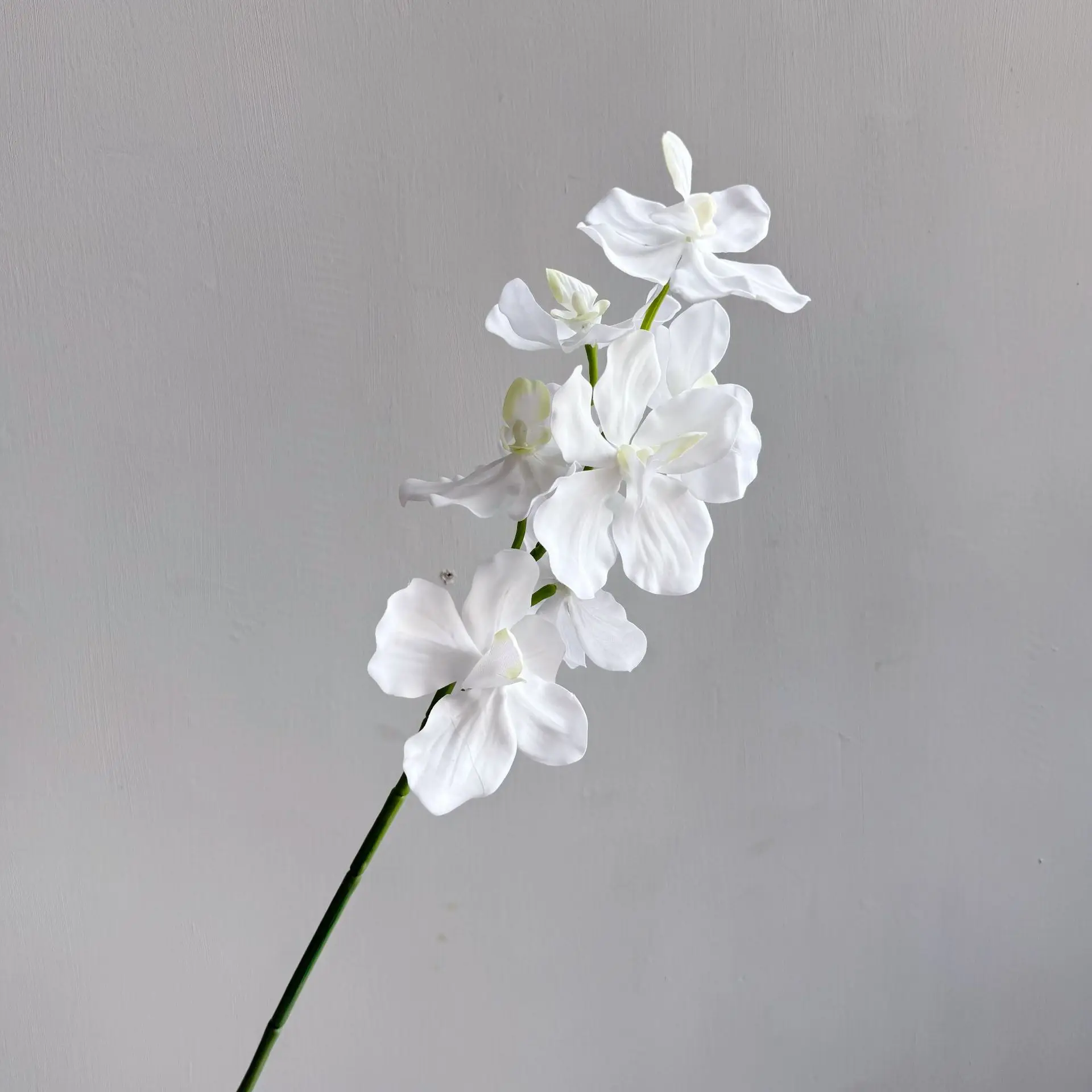 5Pcs Artificial Latex Vanda Orchid Real Touch Flowers Wedding Decor Phalaenopsis Home Decoration Party Table Flower Arrangement
5Pcs Artificial Latex Vanda Orchid Real Touch Flowers Wedding Decor Phalaenopsis Home Decoration Party Table Flower Arrangement