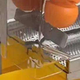 Orange Juicer Machine Commercial 120W Separation Slag Juice Electric Juice Extractor Orange Squeezer
Orange Juicer Machine Commercial 120W Separation Slag Juice Electric Juice Extractor Orange Squeezer