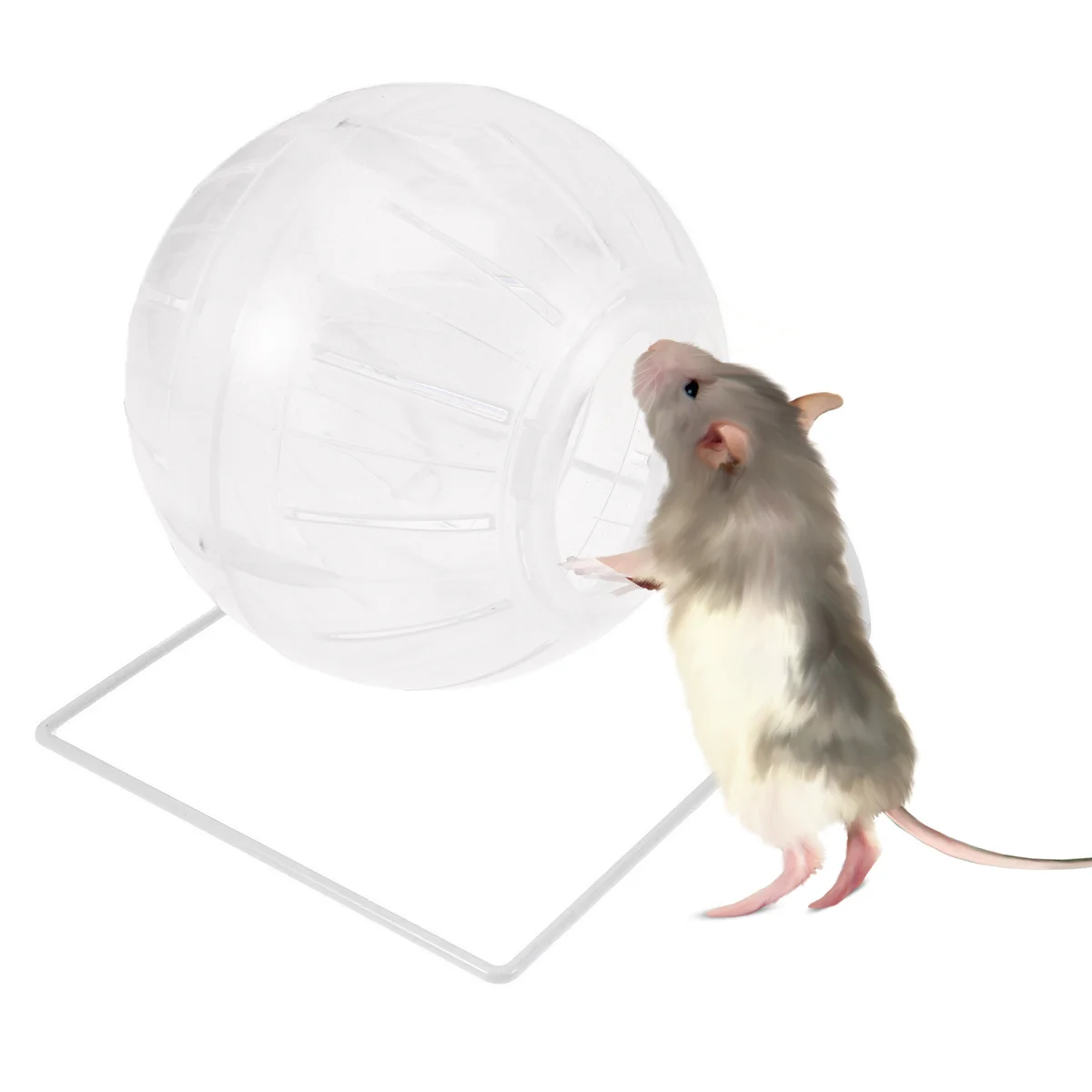 Hamster Running Plastic Metal Non-Toxic Exercise Ball For Small Pets Gerbils Rodents Play Relief Boredom Activity Fun Pet
Hamster Running Plastic Metal Non-Toxic Exercise Ball For Small Pets Gerbils Rodents Play Relief Boredom Activity Fun Pet